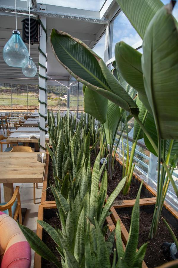 GAIA Kozbeyli Hotel Foca Kültér fotó